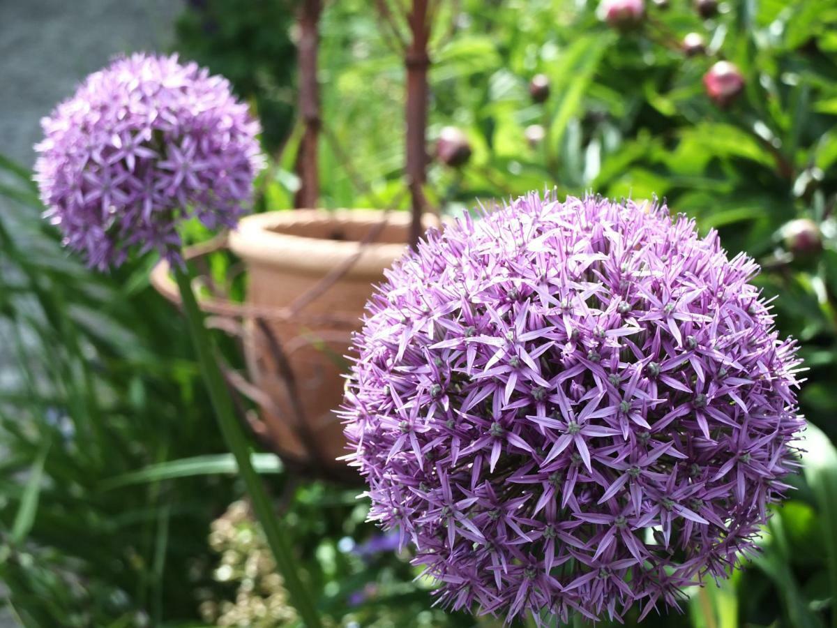 Ferienhaus In Der Schlipfing Mit Garten Altmünster المظهر الخارجي الصورة