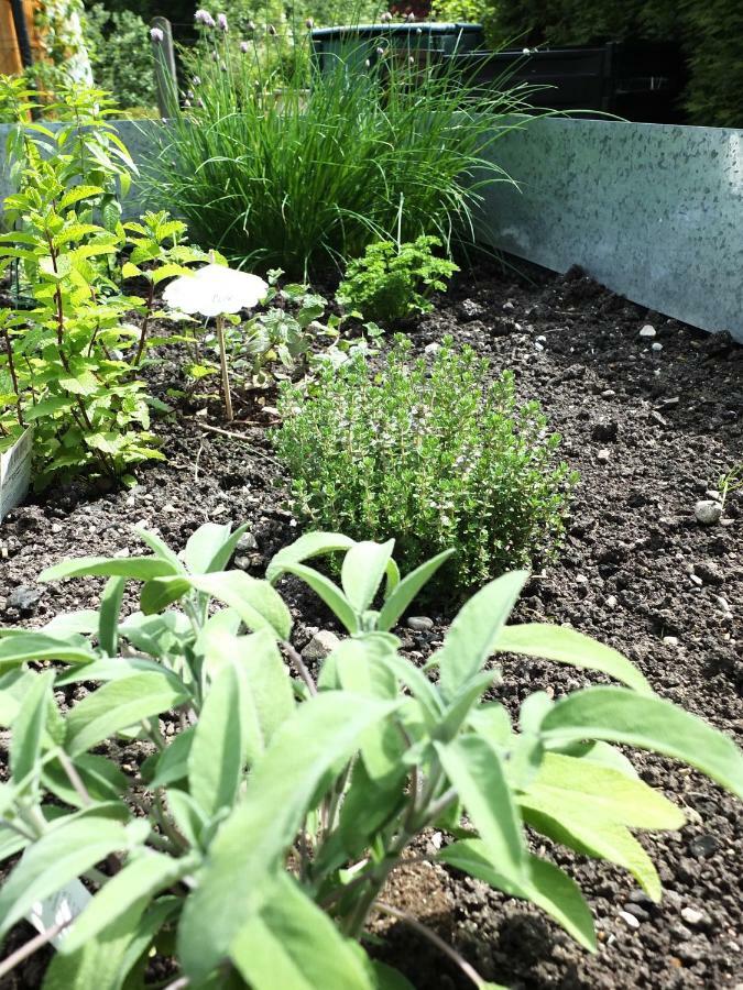 Ferienhaus In Der Schlipfing Mit Garten Altmünster المظهر الخارجي الصورة
