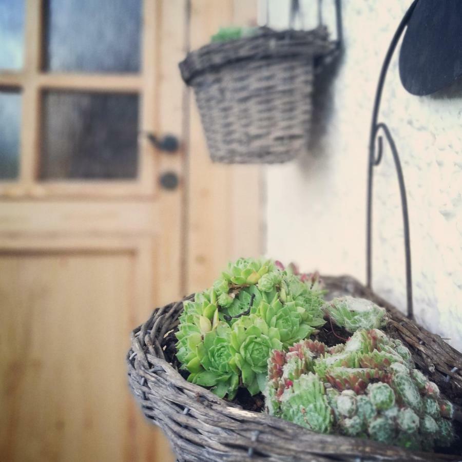 Ferienhaus In Der Schlipfing Mit Garten Altmünster المظهر الخارجي الصورة